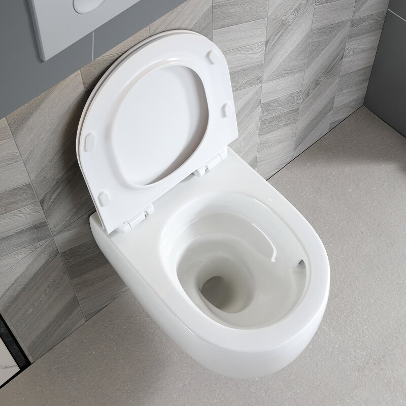 WC KOMPLEKTAS SU POTINKINIU RĖMU IR MYGTUKU WC289 8 WC KOMPLEKTAS SU POTINKINIU RĖMU IR MYGTUKU WC289 8