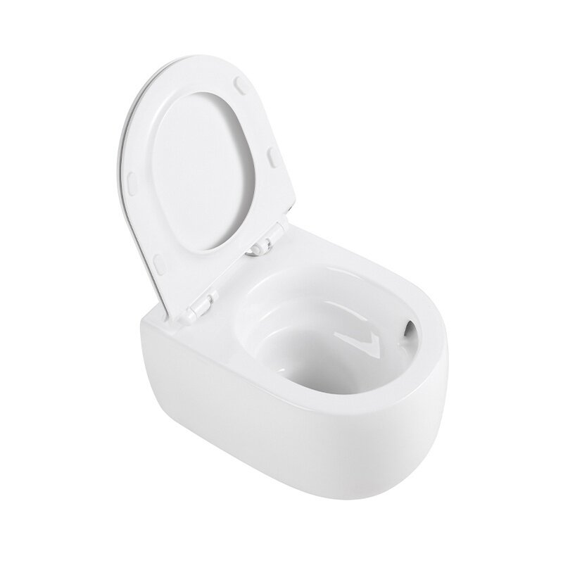 WC KOMPLEKTAS SU POTINKINIU RĖMU IR MYGTUKU WC289 5