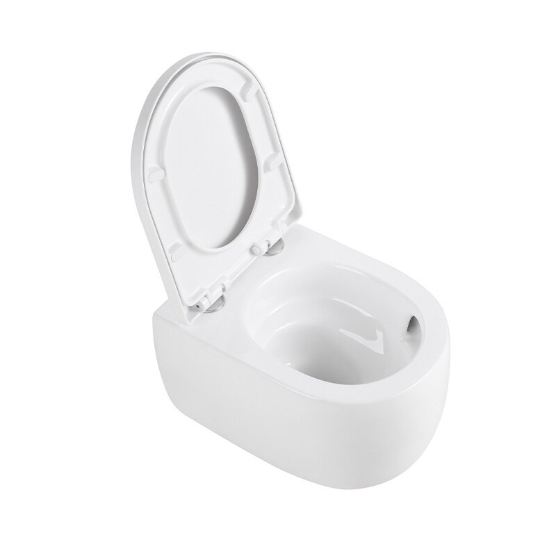 WC KOMPLEKTAS SU POTINKINIU RĖMU IR MYGTUKU WC331 7