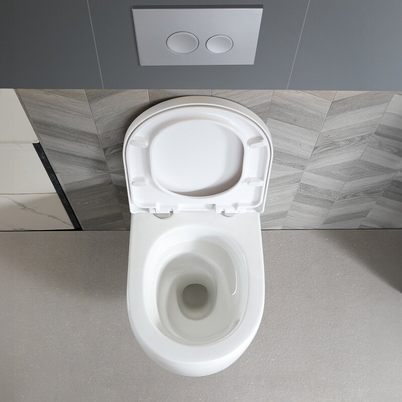 WC KOMPLEKTAS SU POTINKINIU RĖMU IR MYGTUKU WC330 12 WC KOMPLEKTAS SU POTINKINIU RĖMU IR MYGTUKU WC330 12
