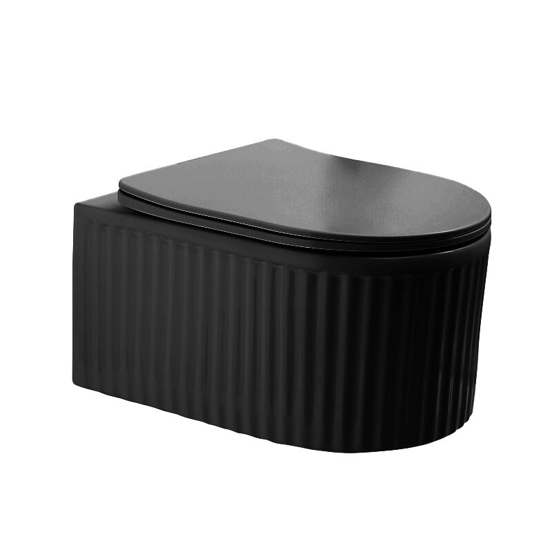 WC KOMPLEKTAS SU POTINKINIU RĖMU IR MYGTUKU WC282 3