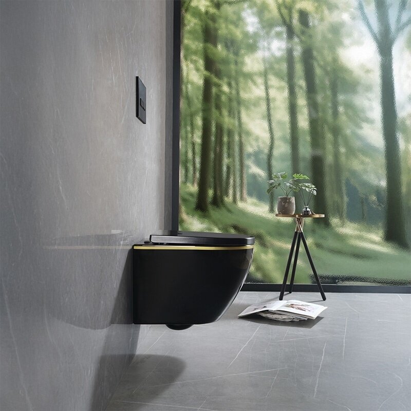 WC KOMPLEKTAS SU POTINKINIU RĖMU IR MYGTUKU WC260 11 WC KOMPLEKTAS SU POTINKINIU RĖMU IR MYGTUKU WC260 11