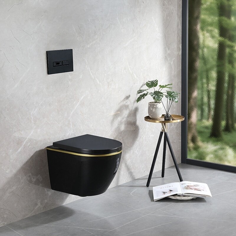 WC KOMPLEKTAS SU POTINKINIU RĖMU IR MYGTUKU WC258 4