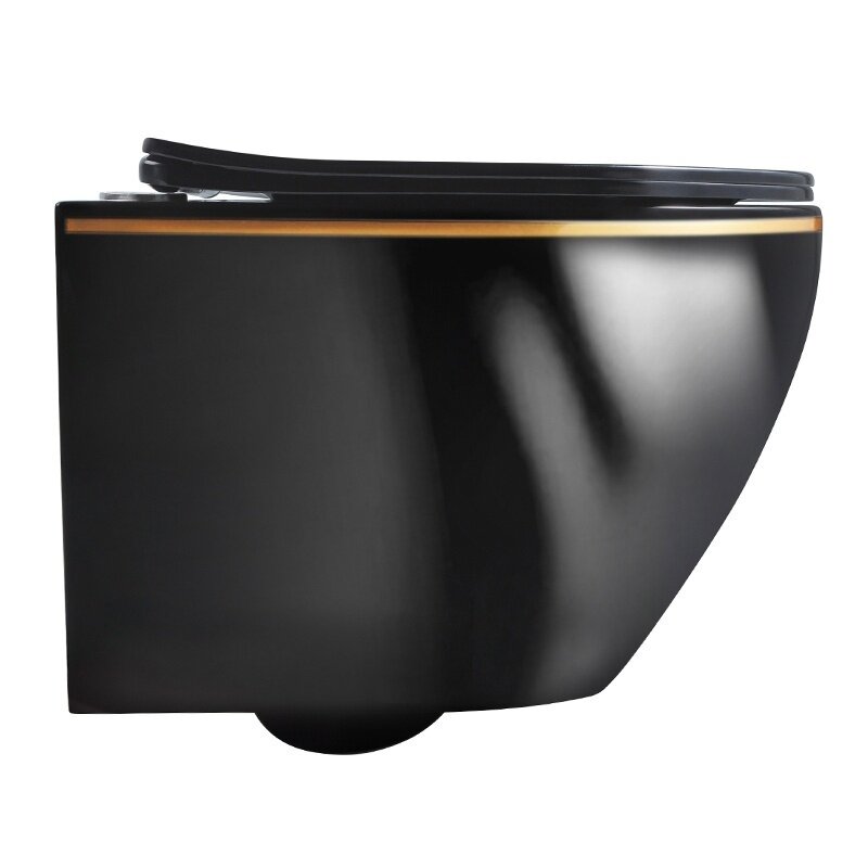 WC KOMPLEKTAS SU POTINKINIU RĖMU IR MYGTUKU WC232 5