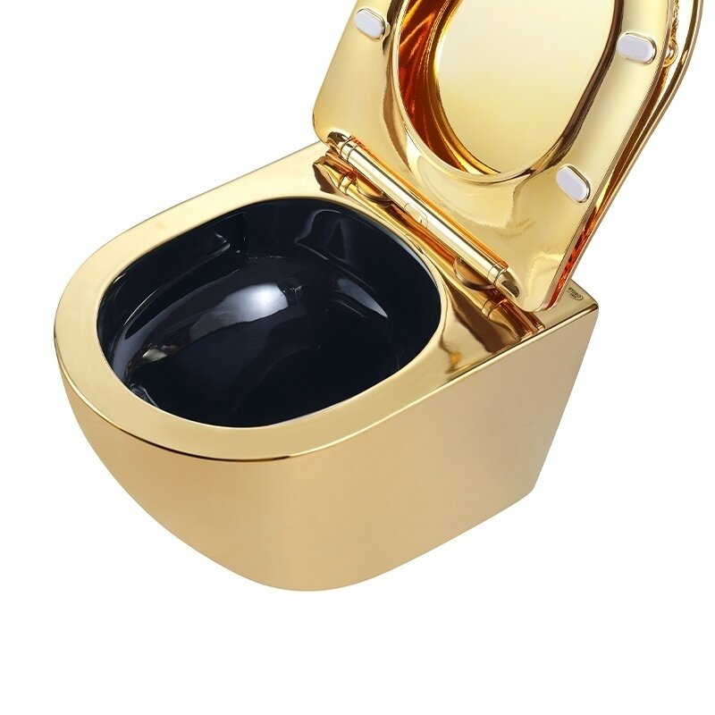 WC KOMPLEKTAS SU POTINKINIU RĖMU IR MYGTUKU WC297 7