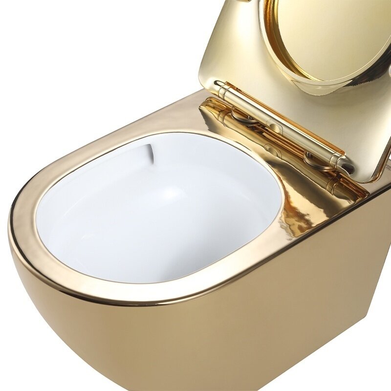 WC KOMPLEKTAS SU POTINKINIU RĖMU IR MYGTUKU WC292 7