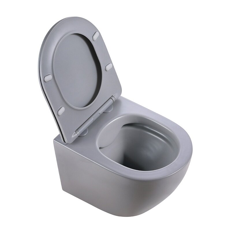 WC KOMPLEKTAS SU POTINKINIU RĖMU IR MYGTUKU WC349 7