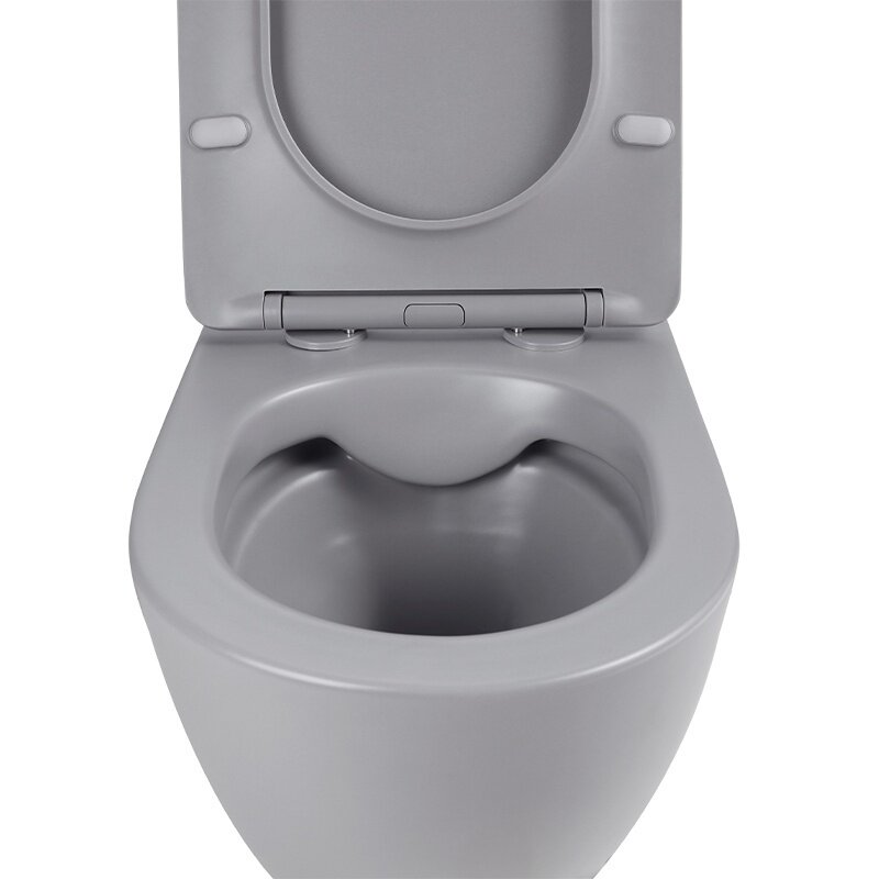 WC KOMPLEKTAS SU POTINKINIU RĖMU IR MYGTUKU WC349 9 WC KOMPLEKTAS SU POTINKINIU RĖMU IR MYGTUKU WC349 9