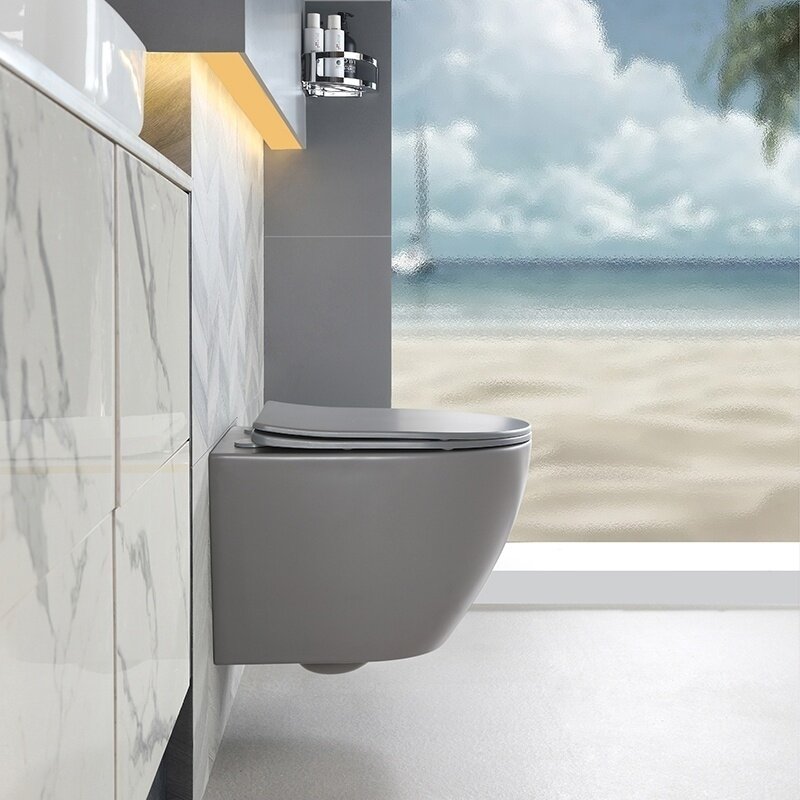WC KOMPLEKTAS SU POTINKINIU RĖMU IR MYGTUKU WC349 6 WC KOMPLEKTAS SU POTINKINIU RĖMU IR MYGTUKU WC349 6