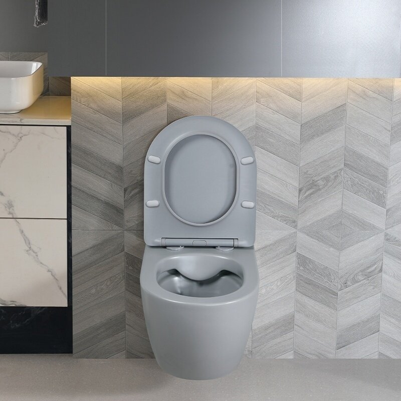 WC KOMPLEKTAS SU POTINKINIU RĖMU IR MYGTUKU WC349 8 WC KOMPLEKTAS SU POTINKINIU RĖMU IR MYGTUKU WC349 8