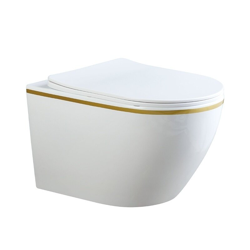 WC KOMPLEKTAS SU POTINKINIU RĖMU IR MYGTUKU WC243 3