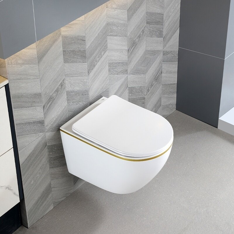 WC KOMPLEKTAS SU POTINKINIU RĖMU IR MYGTUKU WC243 8