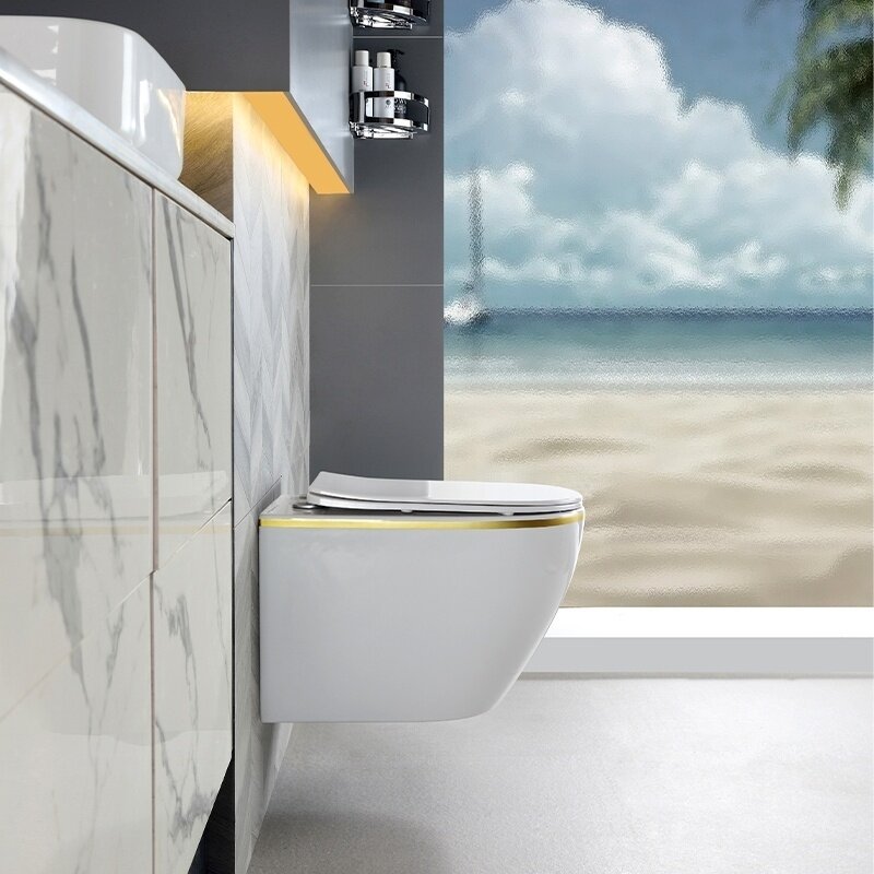 WC KOMPLEKTAS SU POTINKINIU RĖMU IR MYGTUKU WC243 10