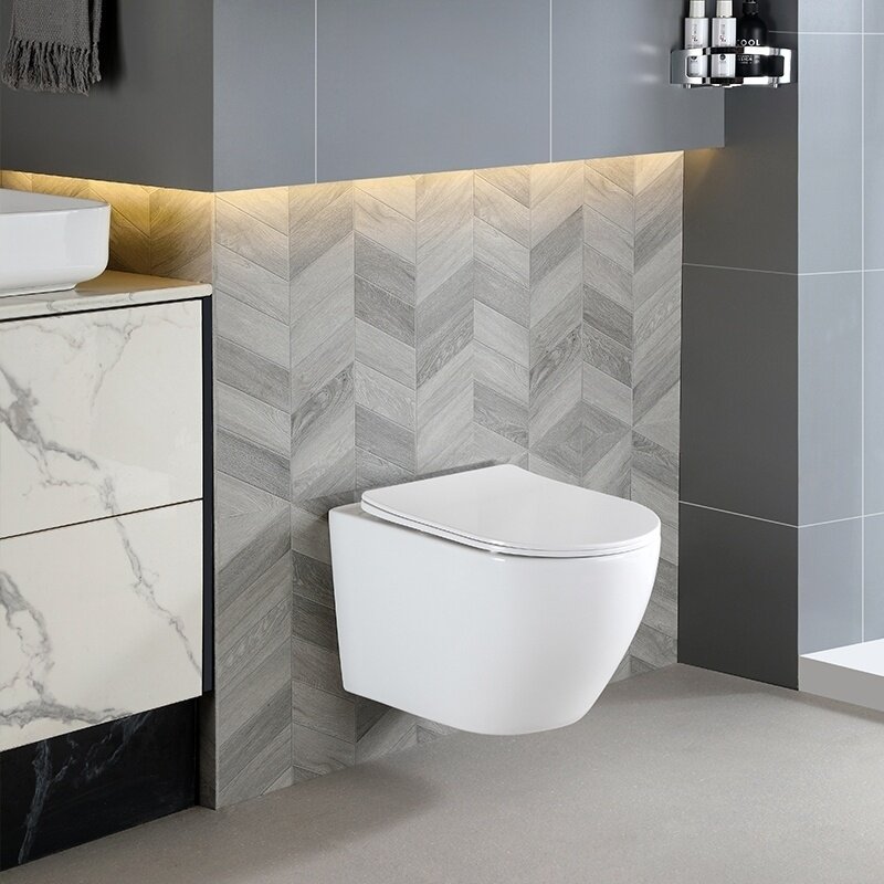 WC KOMPLEKTAS SU POTINKINIU RĖMU IR MYGTUKU WC112 4
