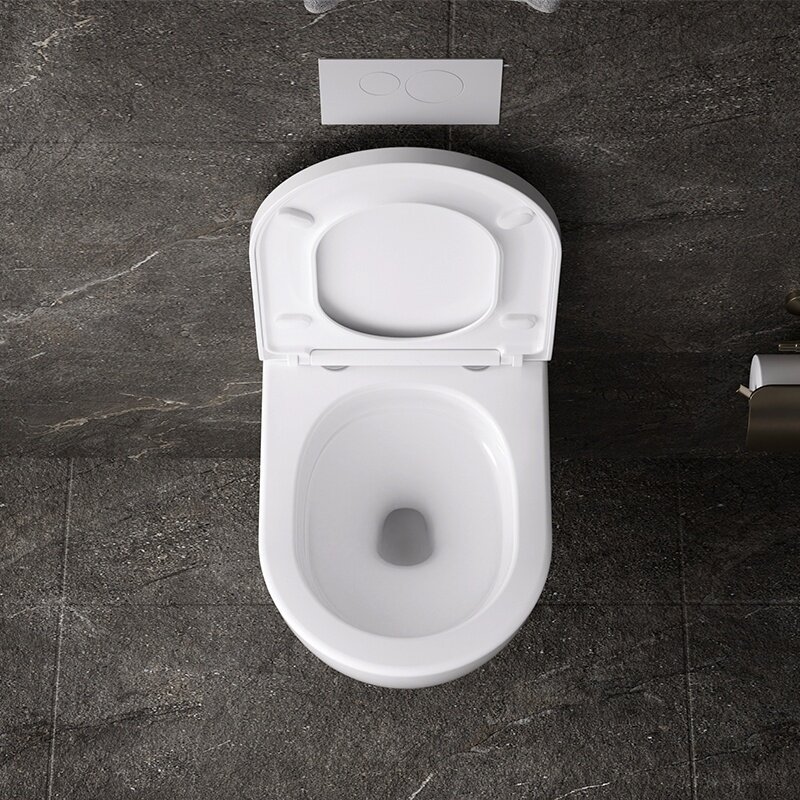 WC KOMPLEKTAS SU POTINKINIU RĖMU IR MYGTUKU WC164 9