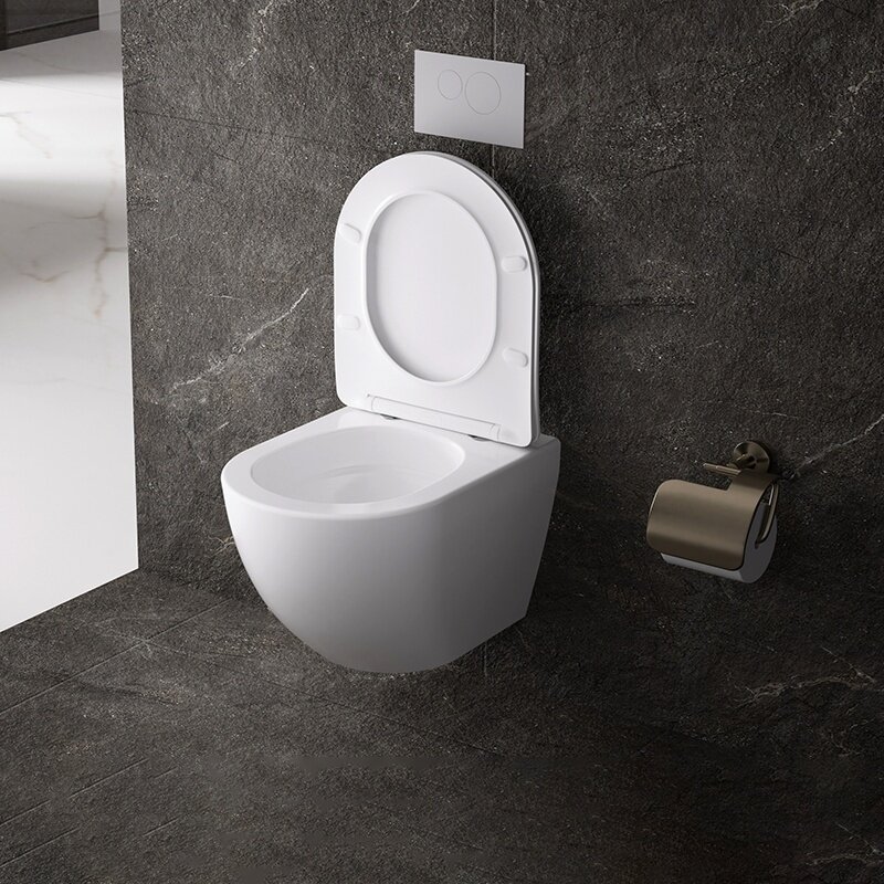WC KOMPLEKTAS SU POTINKINIU RĖMU IR MYGTUKU WC150 12
