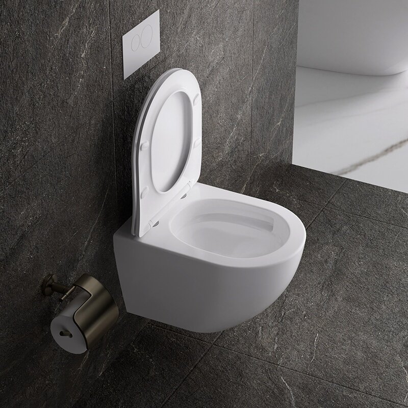 WC KOMPLEKTAS SU POTINKINIU RĖMU IR MYGTUKU WC148 6