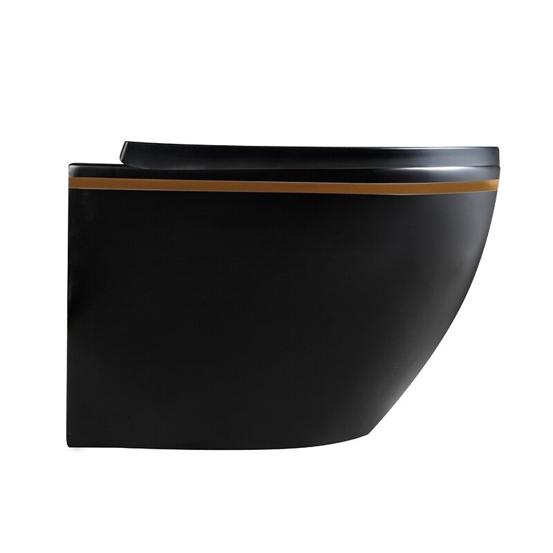 WC KOMPLEKTAS SU POTINKINIU RĖMU IR MYGTUKU WC223 5