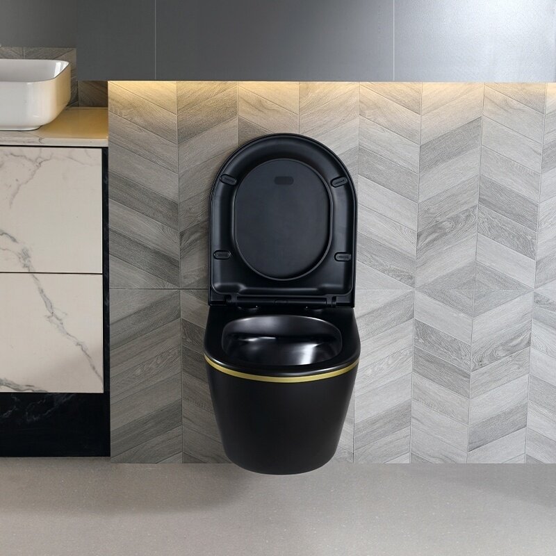 WC KOMPLEKTAS SU POTINKINIU RĖMU IR MYGTUKU WC223 11