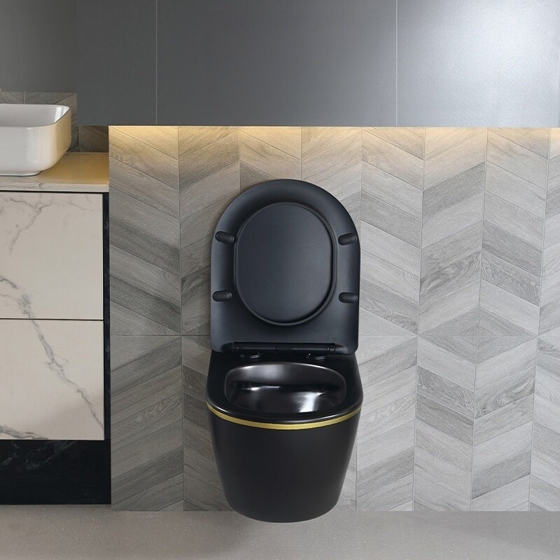 WC KOMPLEKTAS SU POTINKINIU RĖMU IR MYGTUKU WC249 10