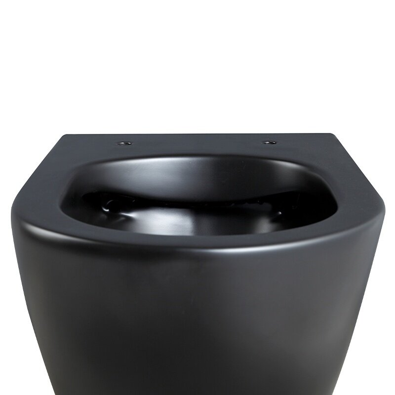 WC KOMPLEKTAS SU POTINKINIU RĖMU IR MYGTUKU WC226 11