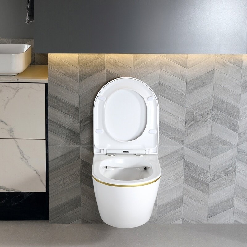 WC KOMPLEKTAS SU POTINKINIU RĖMU IR MYGTUKU WC271 11