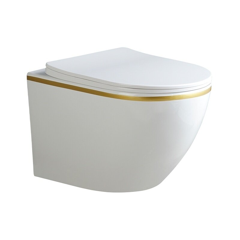 WC KOMPLEKTAS SU POTINKINIU RĖMU IR MYGTUKU WC276 3