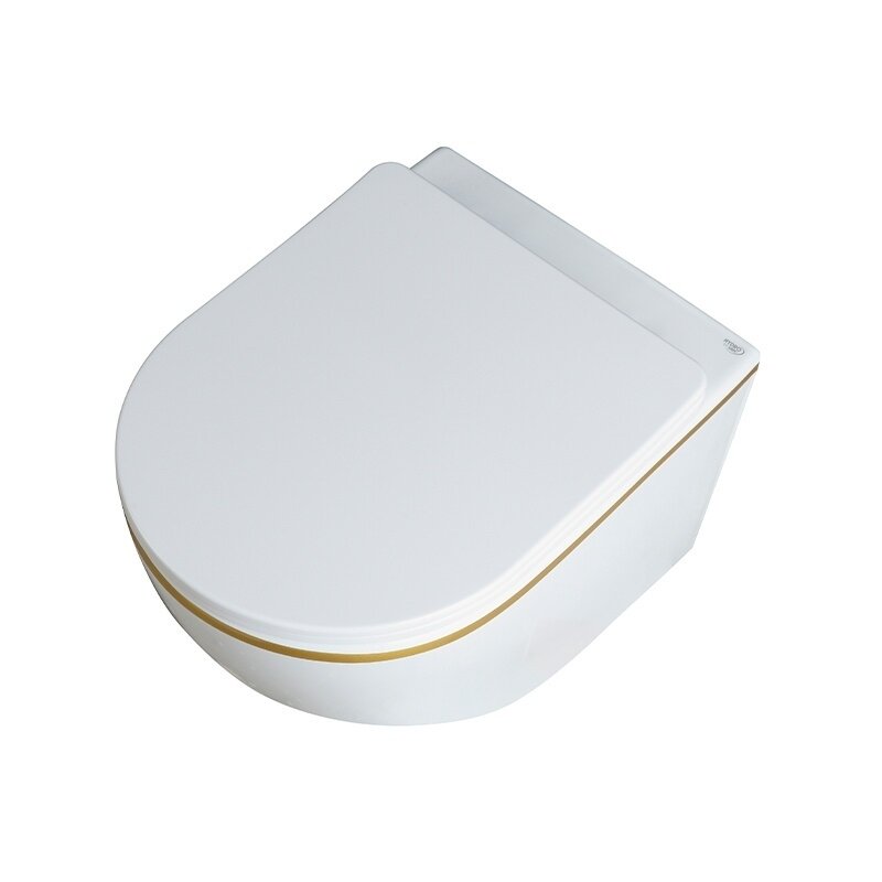 WC KOMPLEKTAS SU POTINKINIU RĖMU IR MYGTUKU WC276 5