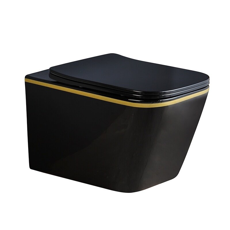 WC KOMPLEKTAS SU POTINKINIU RĖMU IR MYGTUKU WC247 3