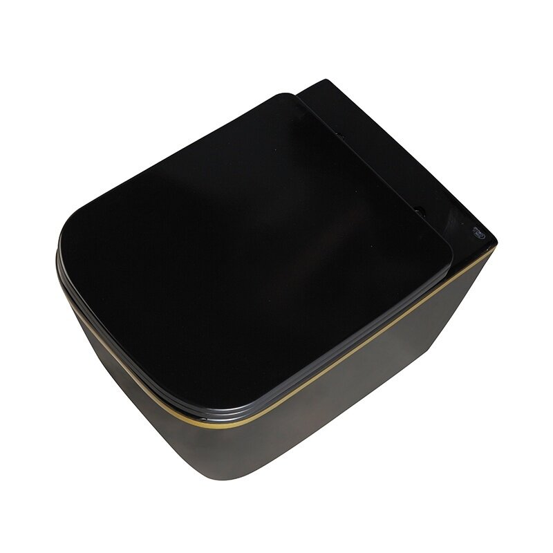 WC KOMPLEKTAS SU POTINKINIU RĖMU IR MYGTUKU WC247 5 WC KOMPLEKTAS SU POTINKINIU RĖMU IR MYGTUKU WC247 5