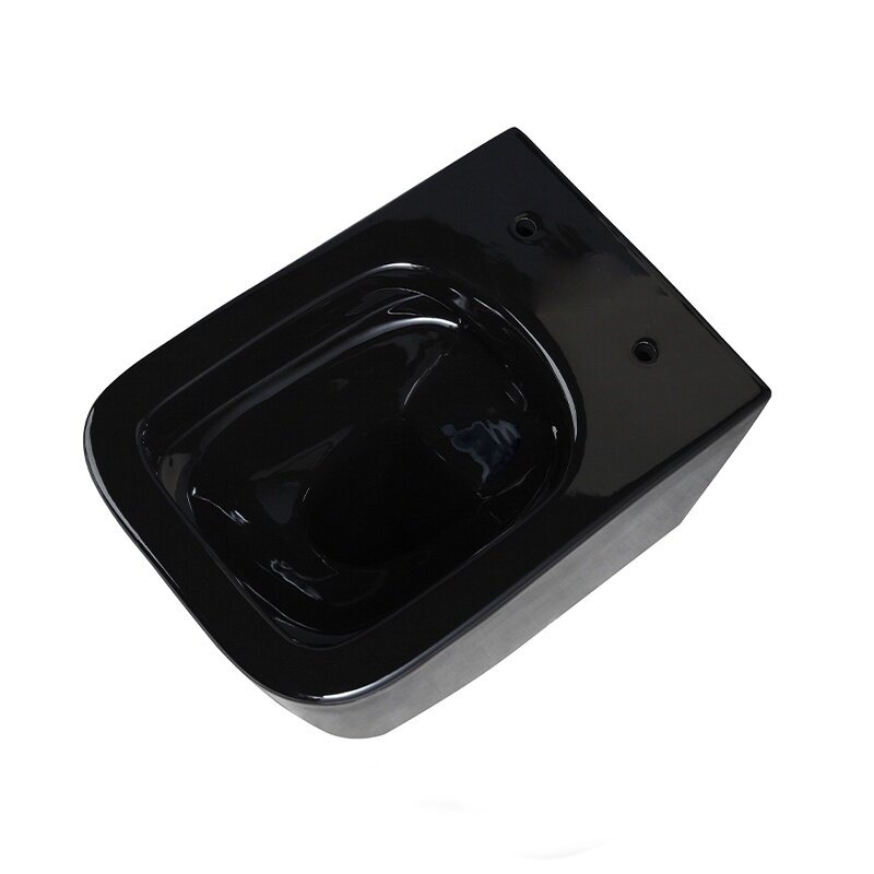 WC KOMPLEKTAS SU POTINKINIU RĖMU IR MYGTUKU WC245 7 WC KOMPLEKTAS SU POTINKINIU RĖMU IR MYGTUKU WC245 7