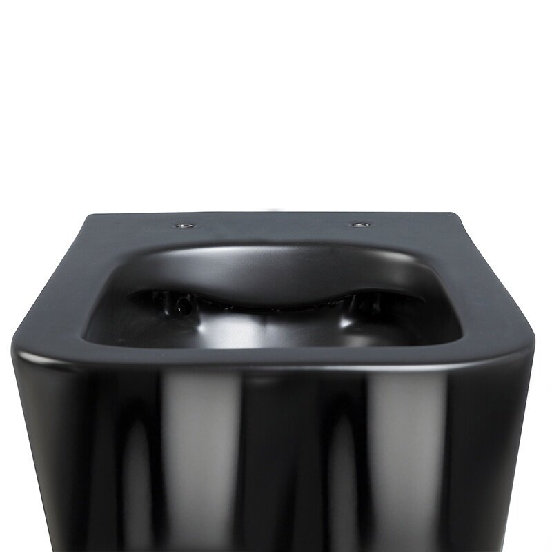 WC KOMPLEKTAS SU POTINKINIU RĖMU IR MYGTUKU WC215 8