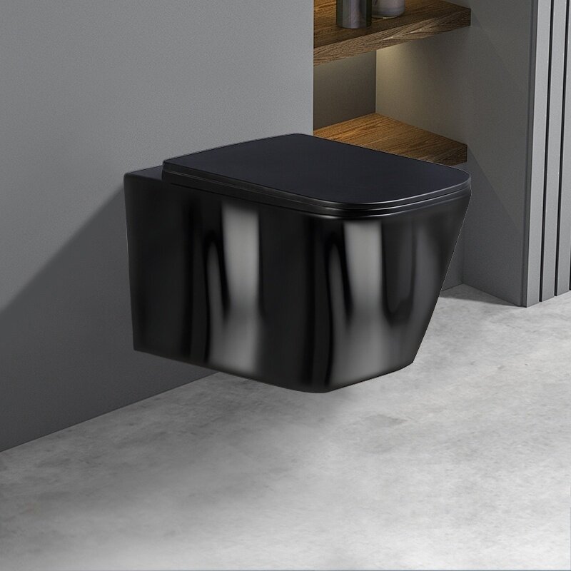 WC KOMPLEKTAS SU POTINKINIU RĖMU IR MYGTUKU WC213 4
