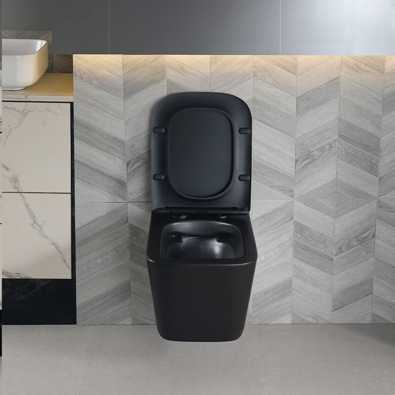 WC KOMPLEKTAS SU POTINKINIU RĖMU IR MYGTUKU WC220 13 WC KOMPLEKTAS SU POTINKINIU RĖMU IR MYGTUKU WC220 13