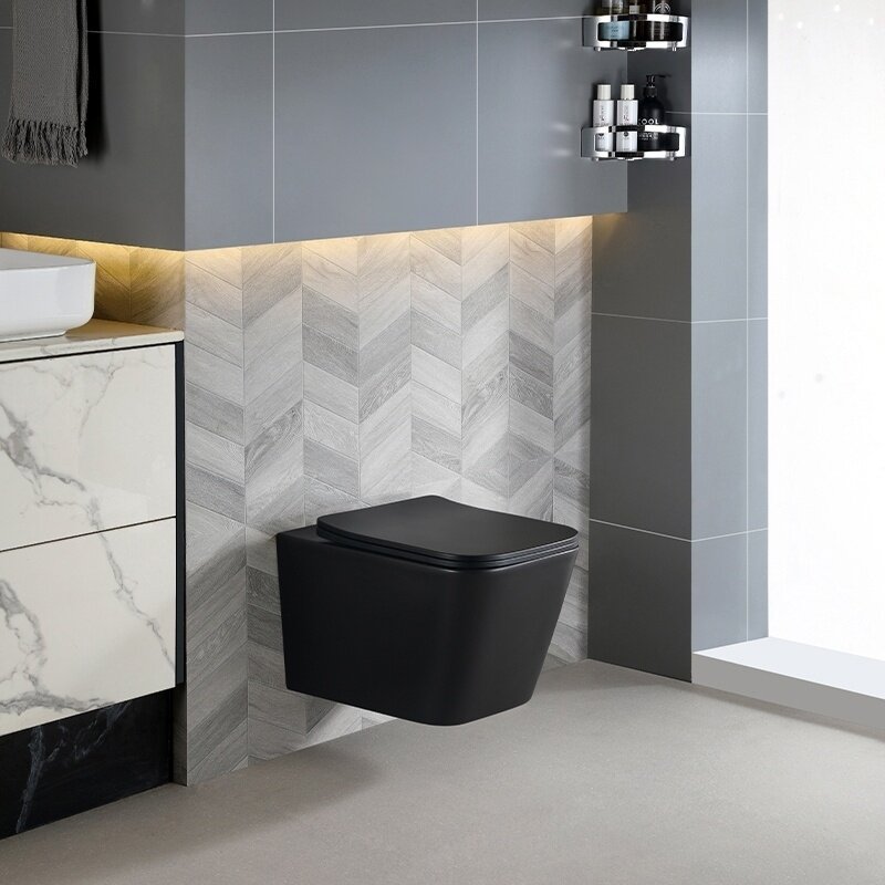 WC KOMPLEKTAS SU POTINKINIU RĖMU IR MYGTUKU WC219 6