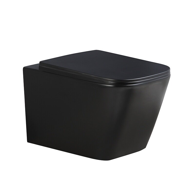 WC KOMPLEKTAS SU POTINKINIU RĖMU IR MYGTUKU WC218 3 WC KOMPLEKTAS SU POTINKINIU RĖMU IR MYGTUKU WC218 3