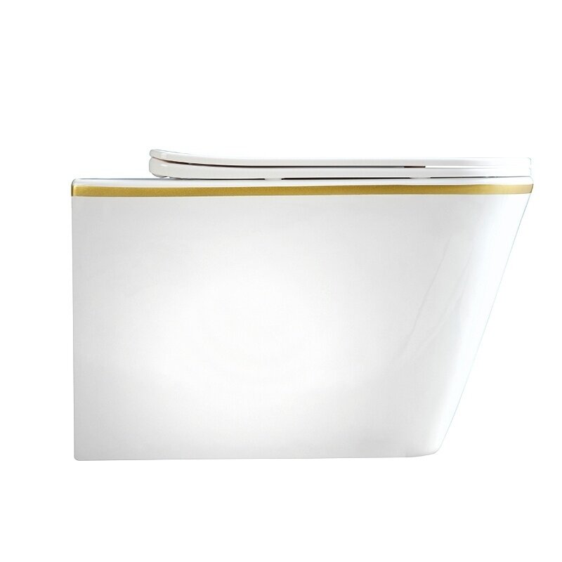 WC KOMPLEKTAS SU POTINKINIU RĖMU IR MYGTUKU WC264 4 WC KOMPLEKTAS SU POTINKINIU RĖMU IR MYGTUKU WC264 4