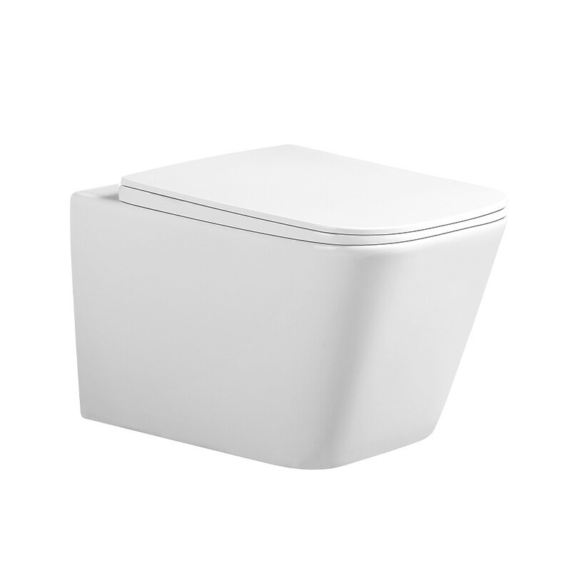 WC KOMPLEKTAS SU POTINKINIU RĖMU IR MYGTUKU WC212 3 WC KOMPLEKTAS SU POTINKINIU RĖMU IR MYGTUKU WC212 3