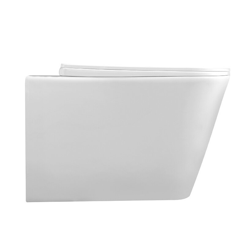 WC KOMPLEKTAS SU POTINKINIU RĖMU IR MYGTUKU WC212 5 WC KOMPLEKTAS SU POTINKINIU RĖMU IR MYGTUKU WC212 5