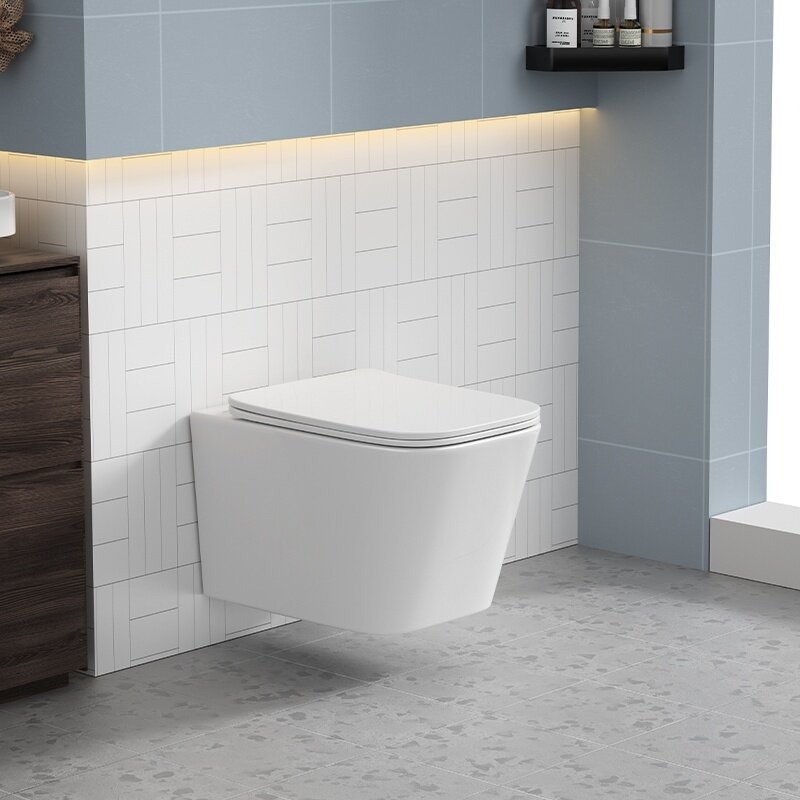 WC KOMPLEKTAS SU POTINKINIU RĖMU IR MYGTUKU WC211 4