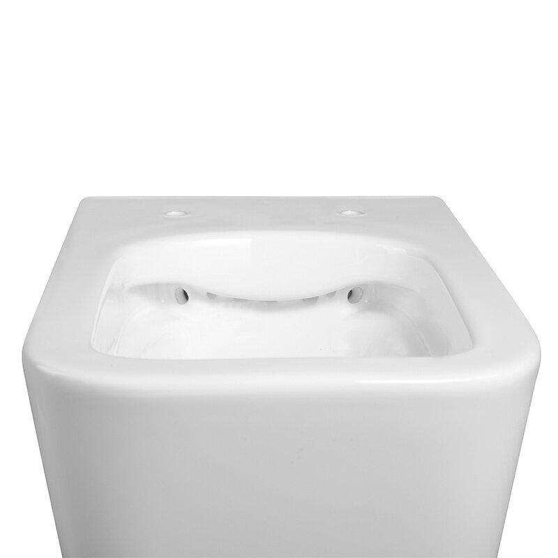 WC KOMPLEKTAS SU POTINKINIU RĖMU IR MYGTUKU WC209 11 WC KOMPLEKTAS SU POTINKINIU RĖMU IR MYGTUKU WC209 11