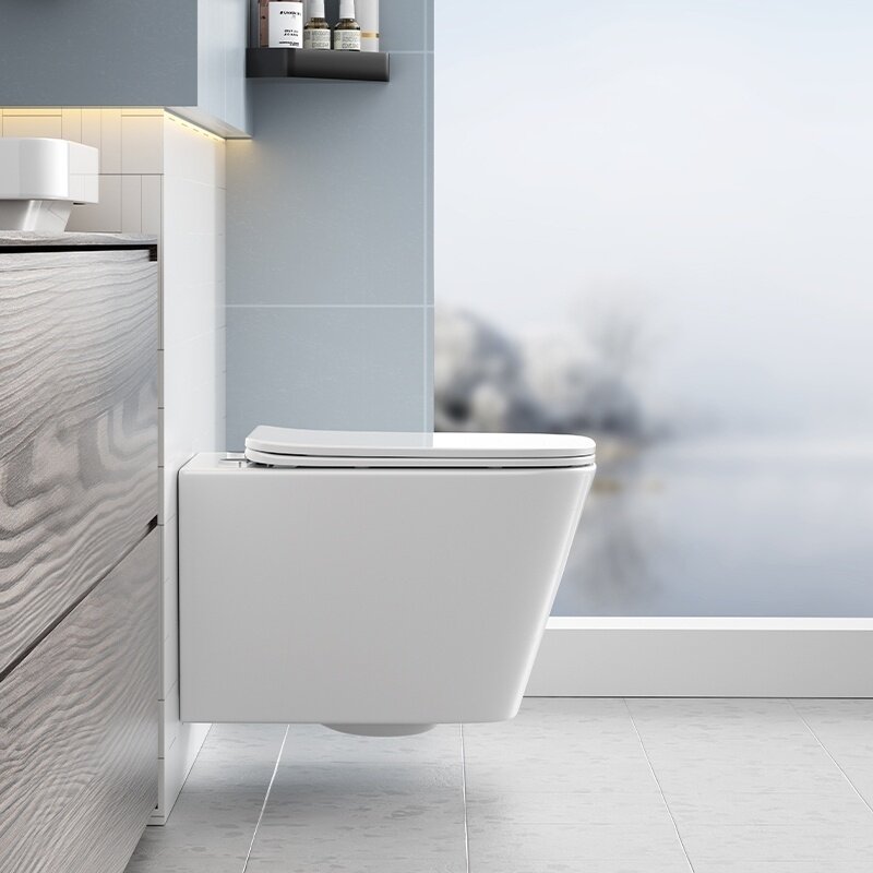 WC KOMPLEKTAS SU POTINKINIU RĖMU IR MYGTUKU WC209 12 WC KOMPLEKTAS SU POTINKINIU RĖMU IR MYGTUKU WC209 12