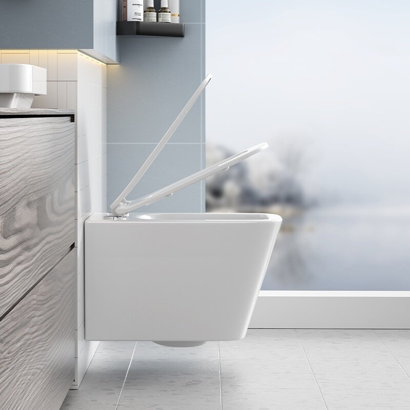 WC KOMPLEKTAS SU POTINKINIU RĖMU IR MYGTUKU WC209 13 WC KOMPLEKTAS SU POTINKINIU RĖMU IR MYGTUKU WC209 13