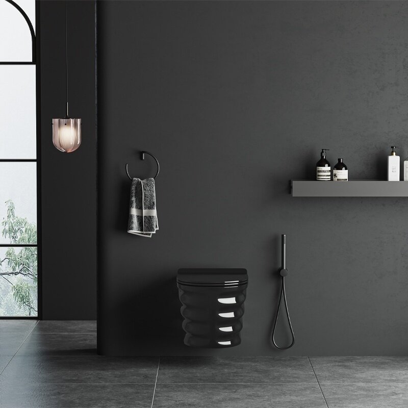 WC KOMPLEKTAS SU POTINKINIU RĖMU IR MYGTUKU WC343 12