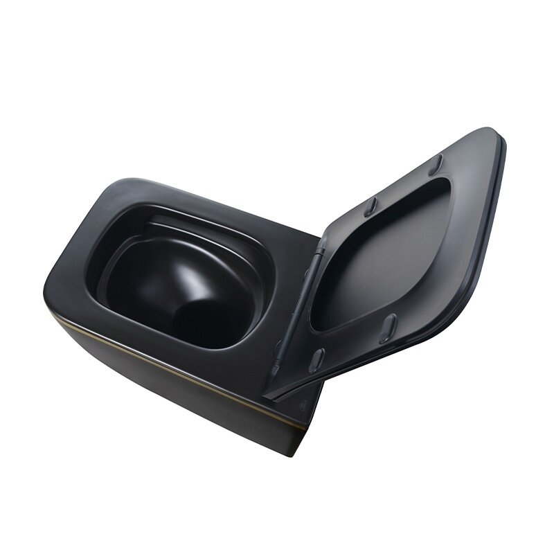 WC KOMPLEKTAS SU POTINKINIU RĖMU IR MYGTUKU WC311 9 WC KOMPLEKTAS SU POTINKINIU RĖMU IR MYGTUKU WC311 9
