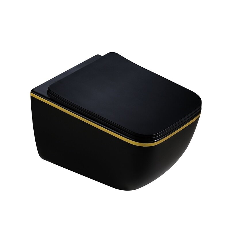 WC KOMPLEKTAS SU POTINKINIU RĖMU IR MYGTUKU WC308 3