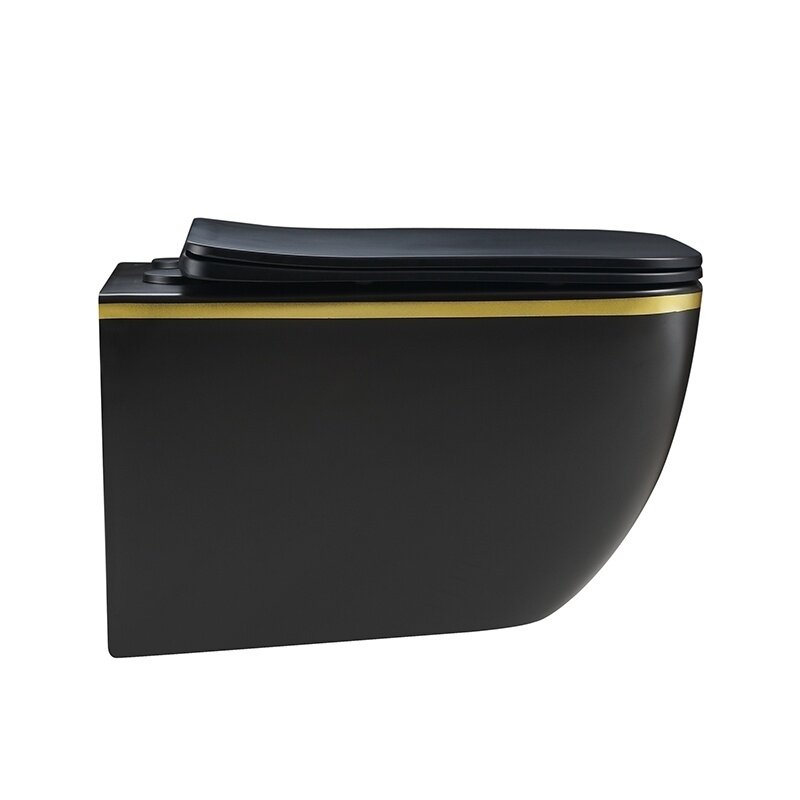 WC KOMPLEKTAS SU POTINKINIU RĖMU IR MYGTUKU WC309 5