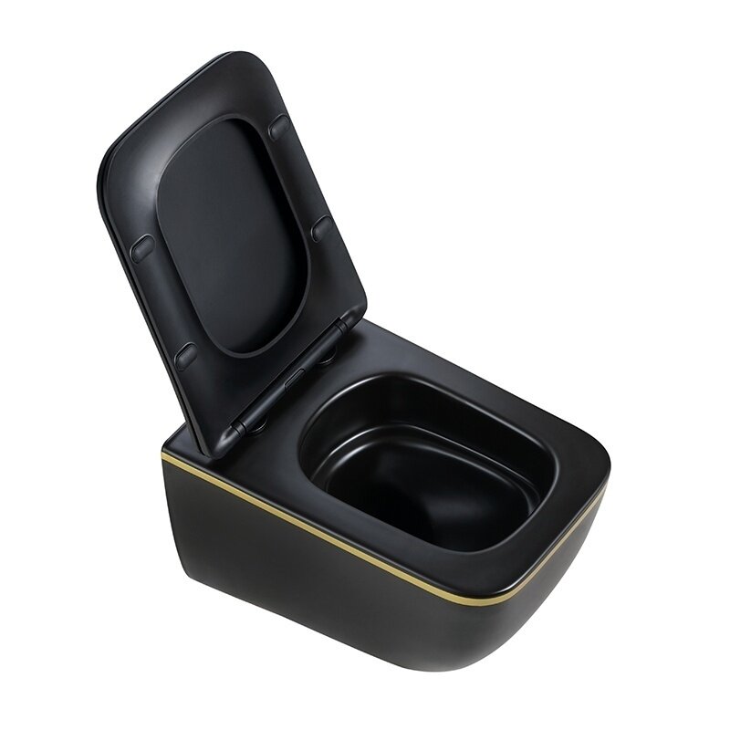 WC KOMPLEKTAS SU POTINKINIU RĖMU IR MYGTUKU WC309 7