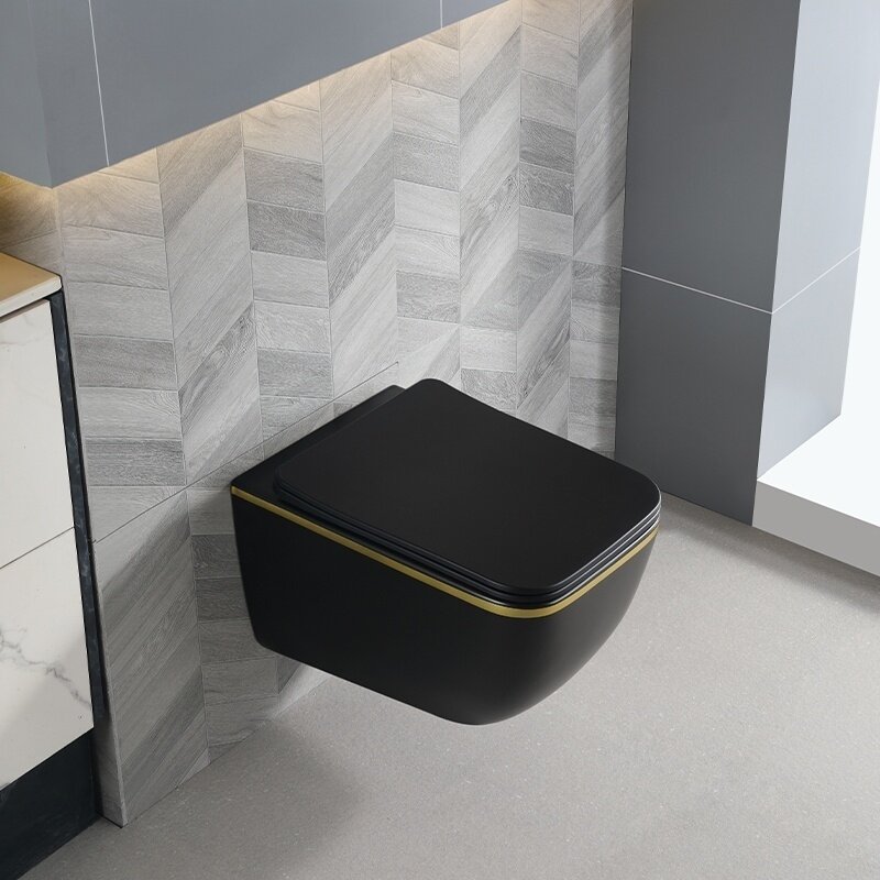WC KOMPLEKTAS SU POTINKINIU RĖMU IR MYGTUKU WC309 10