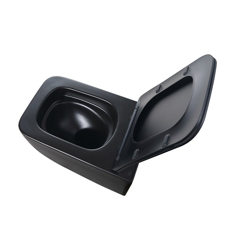 WC KOMPLEKTAS SU POTINKINIU RĖMU IR MYGTUKU WC327 9 WC KOMPLEKTAS SU POTINKINIU RĖMU IR MYGTUKU WC327 9